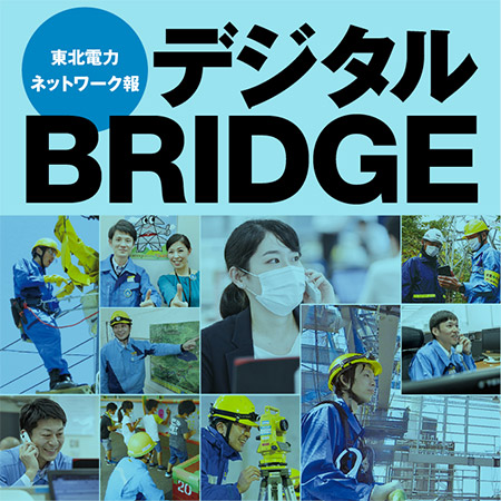 fW^BRIDGE kd̓lbg[N