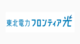 東北電力フロンティア光