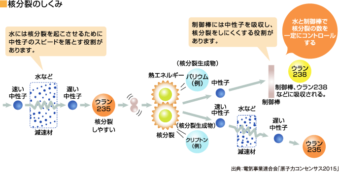 核分裂のしくみ