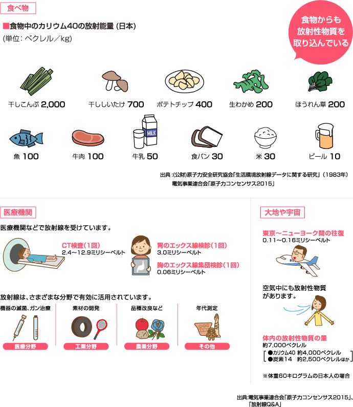 食物中のカリウム40の放射能量(日本)