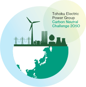 Tohoku Electric Power Group