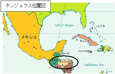 zWXʒu}